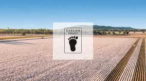 Por que escolher algodão orgânico: reduzindo sua pegada de carbono