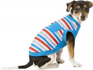 Camisetas com estampa de cachorro: a ideia de presente perfeita para os amantes de nossos amigos de quatro patas.