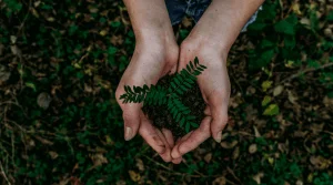 Camisetas sustentáveis ​​personalizáveis: materiais e benefícios