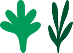 Produtos orgânicos ou reciclados