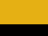 Amarelo Esportivo/Preto